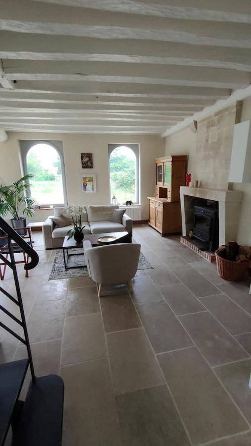 Chateau Des Nouies Villa Selles-sur-Cher Ngoại thất bức ảnh