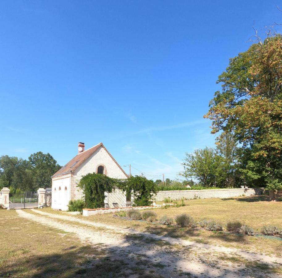 Chateau Des Nouies Villa Selles-sur-Cher Ngoại thất bức ảnh